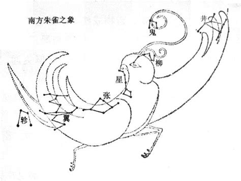 朱雀 南|南方朱雀:出處,文獻記載,神話爭議,道鬥神君,朱雀七宿,。